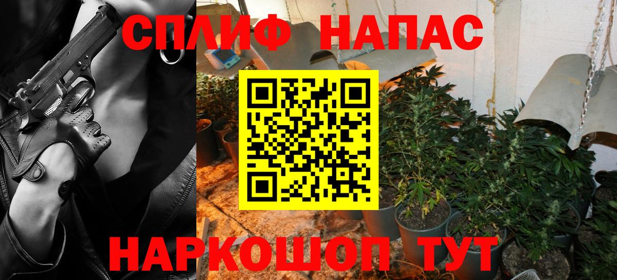 Канабис конопля Иваново